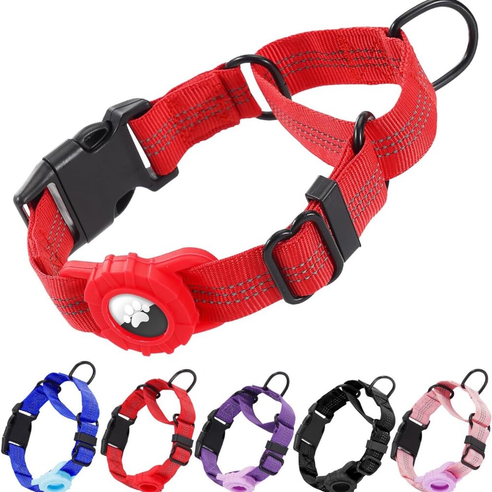 Dog Collar with AirTag Holder, Reflective Nylon, Quick Release Buckle (L)